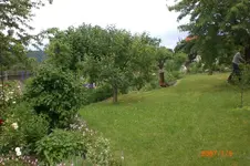 Garten 06 2012 2 030.webp