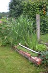 Garten 06 2012 2 038.jpg