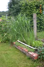 Garten 06 2012 2 038.webp
