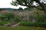 Garten 06 2012 2 041.jpg