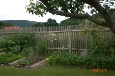 Garten 06 2012 2 041.webp