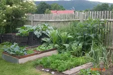 Garten 06 2012 2 042.webp