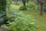 Garten 06 2012 2 043.jpg