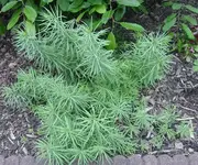 DSC01844_1.webp