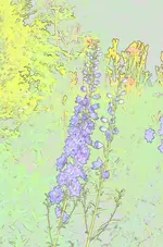 DSC_0006.webp