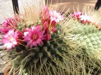 015.webp