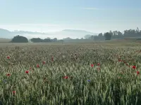 P1030864 (Kopie).webp