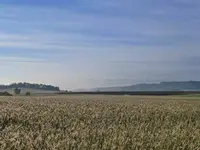 P1030868 (Kopie).webp