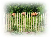 Zaun.webp