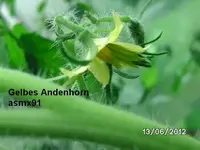 BILD0275.webp