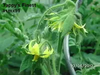 BILD0279.webp