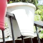 38820.webp