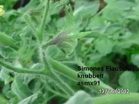 BILD0287.webp