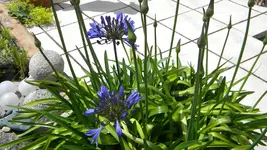 DSCN3080.webp