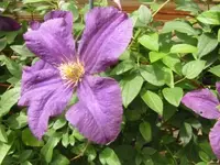 019.webp