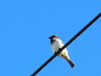 Copy of IMG_1713v.webp