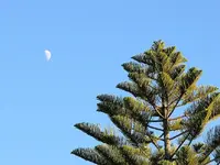 Copy of IMG_1780v.webp
