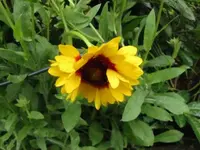 011.webp