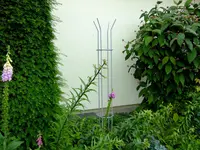 garten 2012 238.webp
