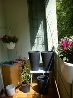 DSC00462.webp