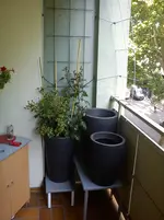 DSC00478.webp