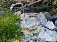 2012-06-14 19.19.05.webp