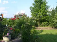 P1080344.webp