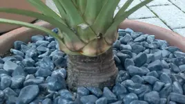 2012-06-14-166.webp