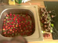 P140612_18.43.webp