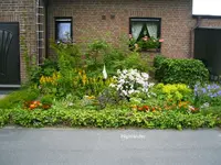 PICT0009.webp