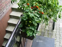 PICT0004.webp