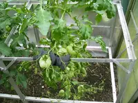 PICT0002.webp