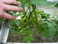 PICT0004.webp