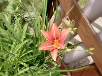P150612_11.11.webp
