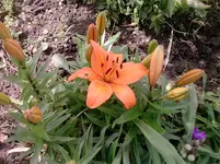 P150612_11.11_[01].webp