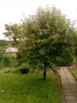 P150612_11.13_[03].webp