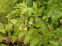 P150612_11.15.webp