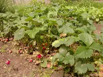 P150612_11.15_[02].webp