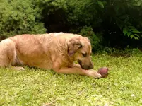 P150612_11.20.webp