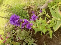 P150612_11.13_[02].webp