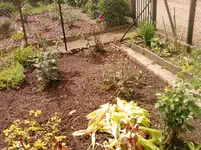 P150612_11.19_[02].webp