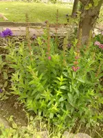 P150612_11.22.webp