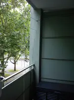 DSC00498.webp