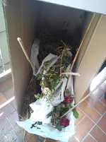DSC00467.webp