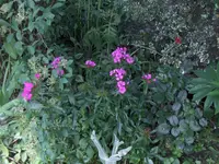 HPIM7700.webp