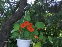 HPIM7698.webp