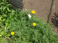 HPIM7694.webp