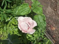 HPIM7692.webp