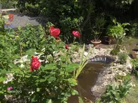 HPIM7691.webp