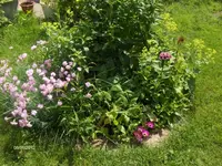 HPIM7689.webp